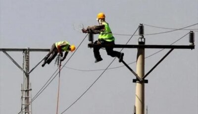 وظائف وزارة الكهرباء 2024.. تعرف على شروط التقديم